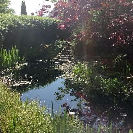 Ruhige Ferienwohnung Im Hunsrueck Hungenroth Esterno foto