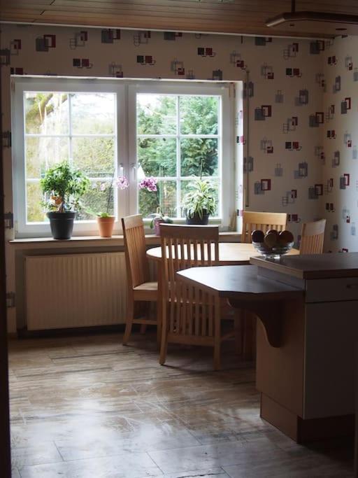 Ruhige Ferienwohnung Im Hunsrueck Hungenroth Esterno foto